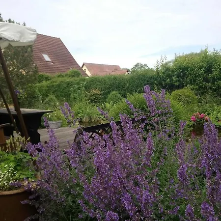 Апартаменты Ferienwohnung Teschow